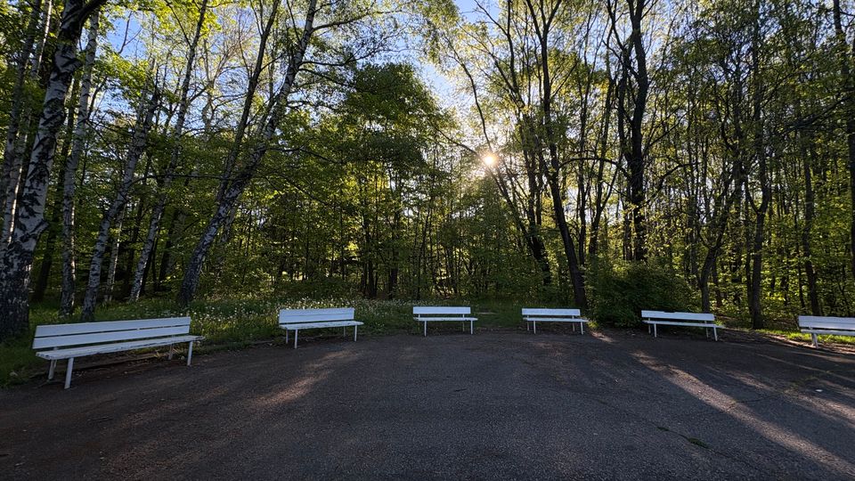 Асфалтирана площадка в парк или горска зона, заобиколена от високи дървета, с няколко бели пейки, подредени по ръба на поляната. Слънцето се вижда през короните и хвърля дълги сенки върху настилката.