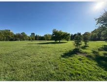 Широка тревна поляна в градски парк, обградена от високи дървета, с няколко млади иглолистни дръвчета на преден план. В далечината се виждат алеи, пейки и силуети на високи сгради под ясно синьо небе.