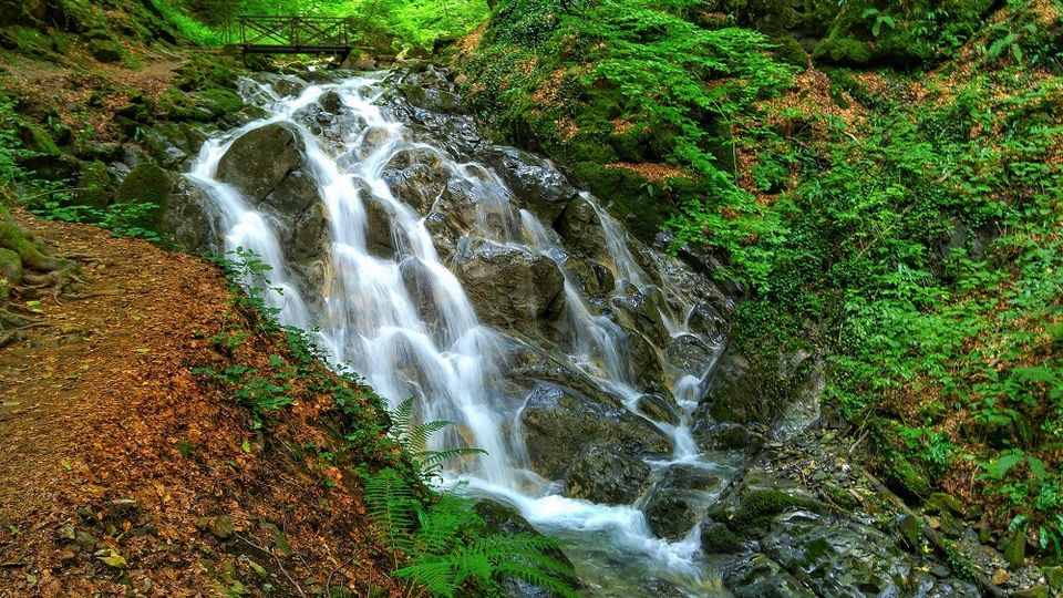 A lush forest scene featuring a cascading waterfall flowing over rugged rocks surrounded by dense greenery. A wooden footbridge spans the stream in the background, and a dirt path lined with ferns runs alongside the waterfall.
