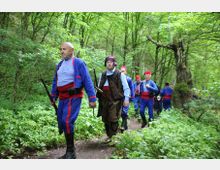 A group of individuals walking along a narrow dirt path in a dense forest with vibrant green foliage and mature trees. The setting features abundant undergrowth and a natural, shaded environment.