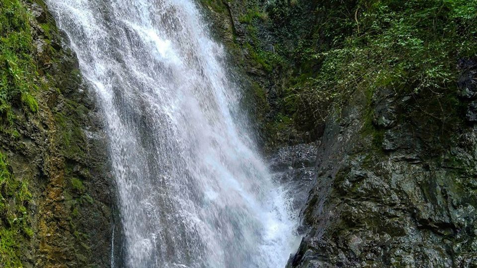 A cascading waterfall flows over rocky cliffs into a small pool, surrounded by lush green foliage and moss-covered rocks.