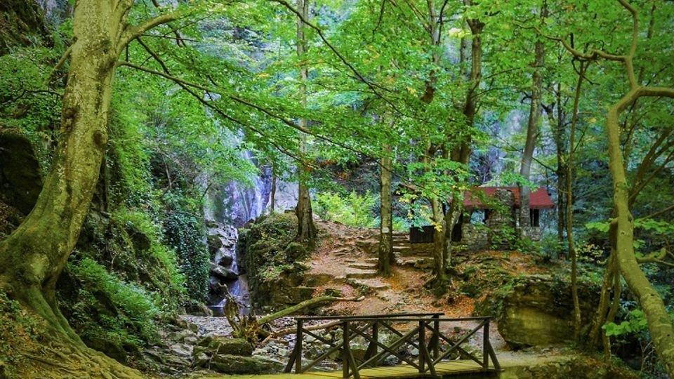A forested area with a small wooden bridge crossing a rocky stream, surrounded by lush green trees. In the background, a stone structure with a red roof is partially visible through the foliage.