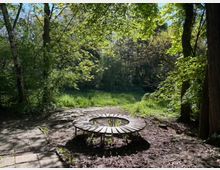 Горска поляна с гъста зелена растителност и дървета, осветена от слънчеви лъчи през короните. На преден план има кръгла дървена пейка/платформа с отвор в средата до павирана пътека.