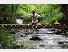 A forest setting with a wooden footbridge crossing over a shallow, rocky stream surrounded by lush green trees and foliage. A small waterfall is visible in the background.