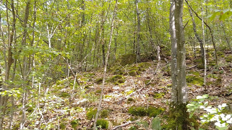 486148117_1162391418374890_4104577450133158675_n (1).jpg