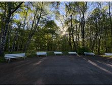 Асфалтирана площадка в парк или горска зона, заобиколена от високи дървета, с няколко бели пейки, подредени по ръба на поляната. Слънцето се вижда през короните и хвърля дълги сенки върху настилката.