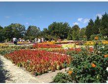 Balchik Botanical Garden