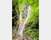A tall waterfall cascades down a rocky cliff surrounded by lush green vegetation and moss-covered rocks, set in a forested environment.