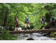 A wooden footbridge spans a shallow, rocky stream in a dense forest of tall green trees. The area is shaded and surrounded by lush vegetation, with small groups of people visible in the background.