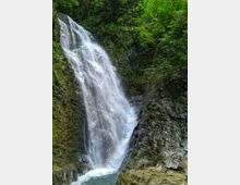 A cascading waterfall flows over rocky cliffs into a small pool, surrounded by lush green foliage and moss-covered rocks.