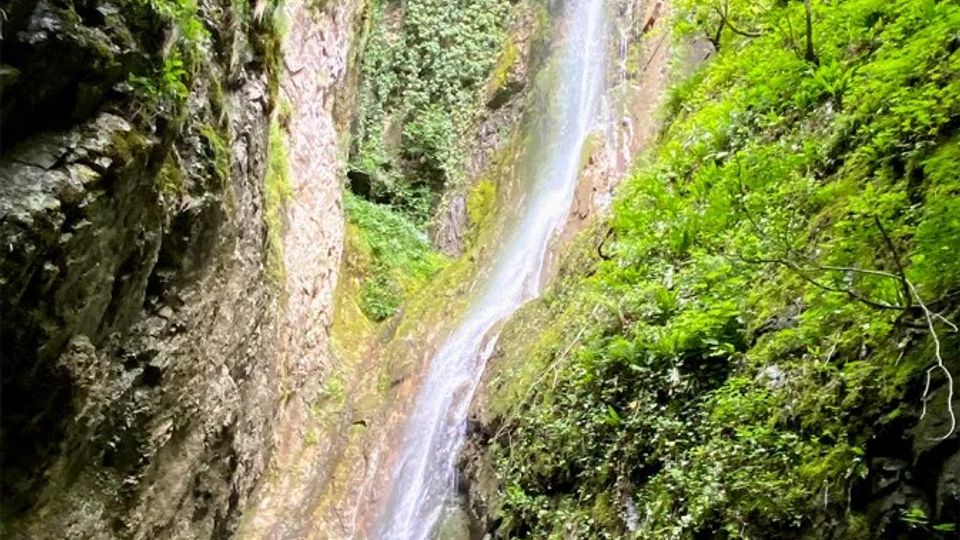 A tall waterfall cascades down a rocky cliff surrounded by lush green vegetation and moss-covered rocks, set in a forested environment.