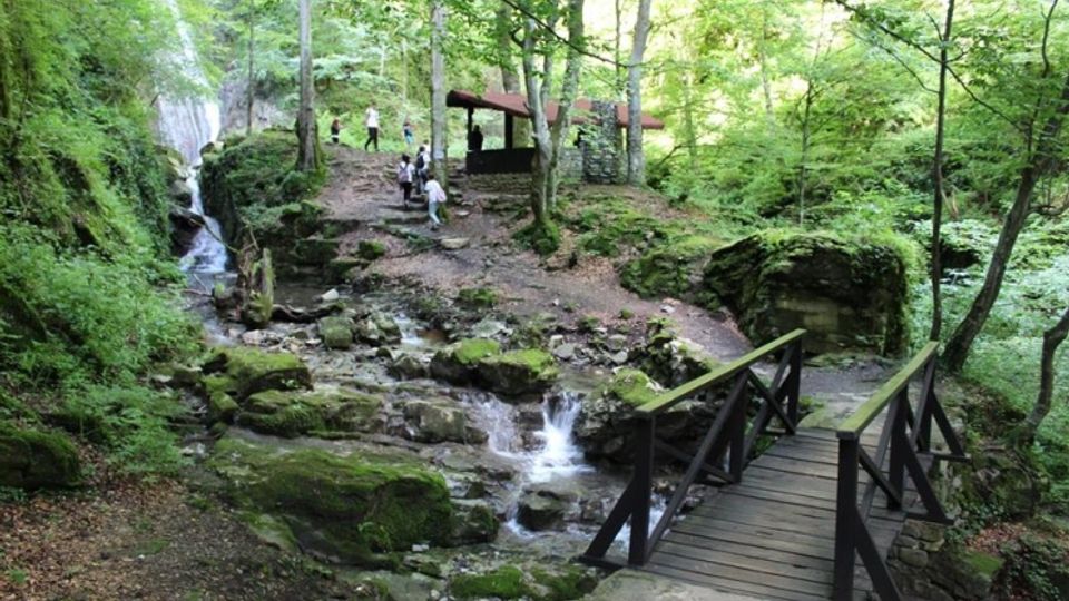 A forest setting with a small wooden footbridge crossing a rocky stream surrounded by lush green trees. A stone pavilion with a red roof is visible in the background near the stream.