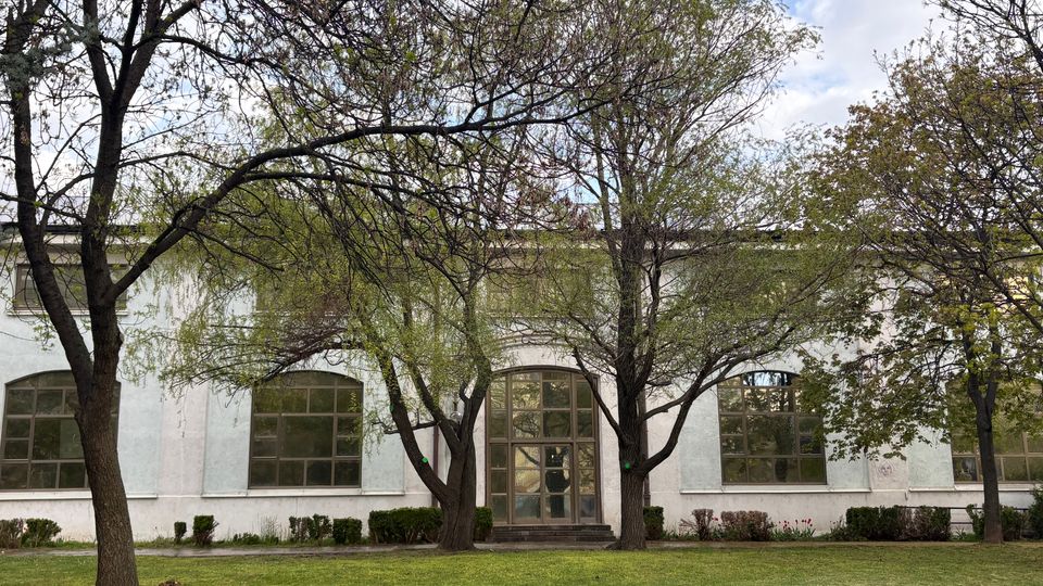 Едноетажна светла сграда с големи арковидни прозорци и централна остъклена врата със стълби, разположена зад тревна площ. Пред фасадата има няколко високи дървета с разперени клони и ниски храсти покрай стената.