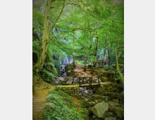 A forested area with a small wooden bridge crossing a rocky stream, surrounded by lush green trees. In the background, a stone structure with a red roof is partially visible through the foliage.