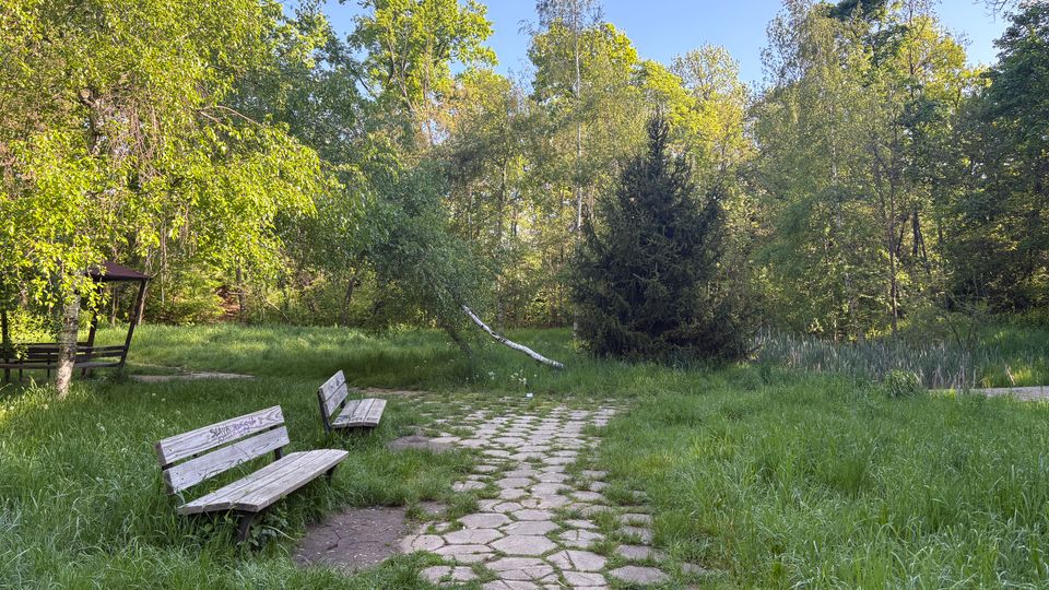Криволичеща каменна пътека в зелен парк, оградена от висока трева и гъста дървесна растителност. Отляво има дървени пейки и малка беседка, а на заден план се виждат високи дървета и иглолистно дърво.