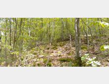 486148117_1162391418374890_4104577450133158675_n (1).jpg